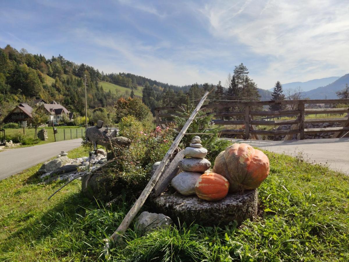 Apartments Povh Ljubno Екстер'єр фото
